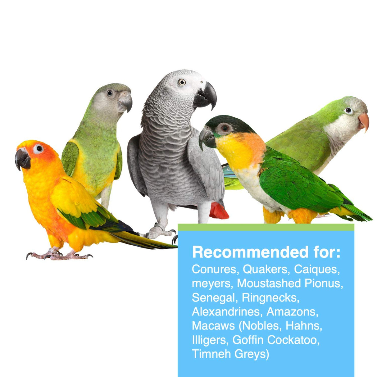 Hari Hagen Tropimix Enrichment Food for Small Parrots, 20 lb. (9.07 kg) - HARI Small Parrot Food with Seeds, Fruit, Nuts, Vegetables, Grains, and Legumes