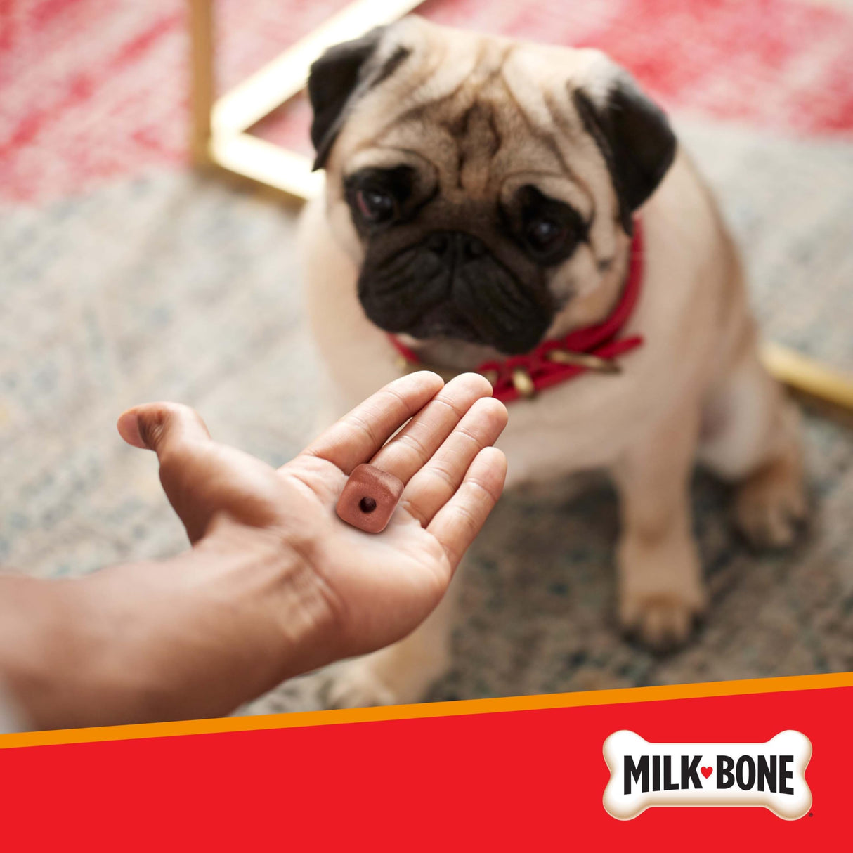 Milk-Bone Pill Pouches with Real Chicken Dog Treats, 6 Ounce Bag (Pack of 5)