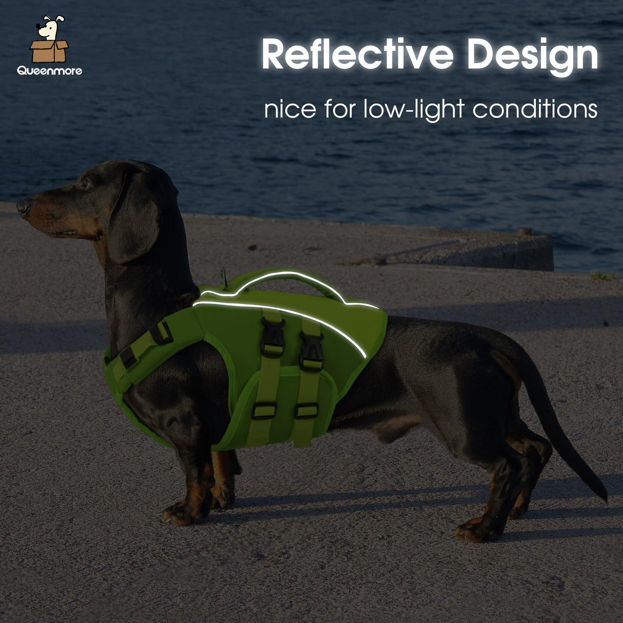 Queenmore Small Dog Life Jacket,Small Dog Life Vest for Swimming,Adjustable Reflective Dogs Swimming Vest,High Buoyancy Dogs Lifesaver,Pet Life Preserver(Green,S)