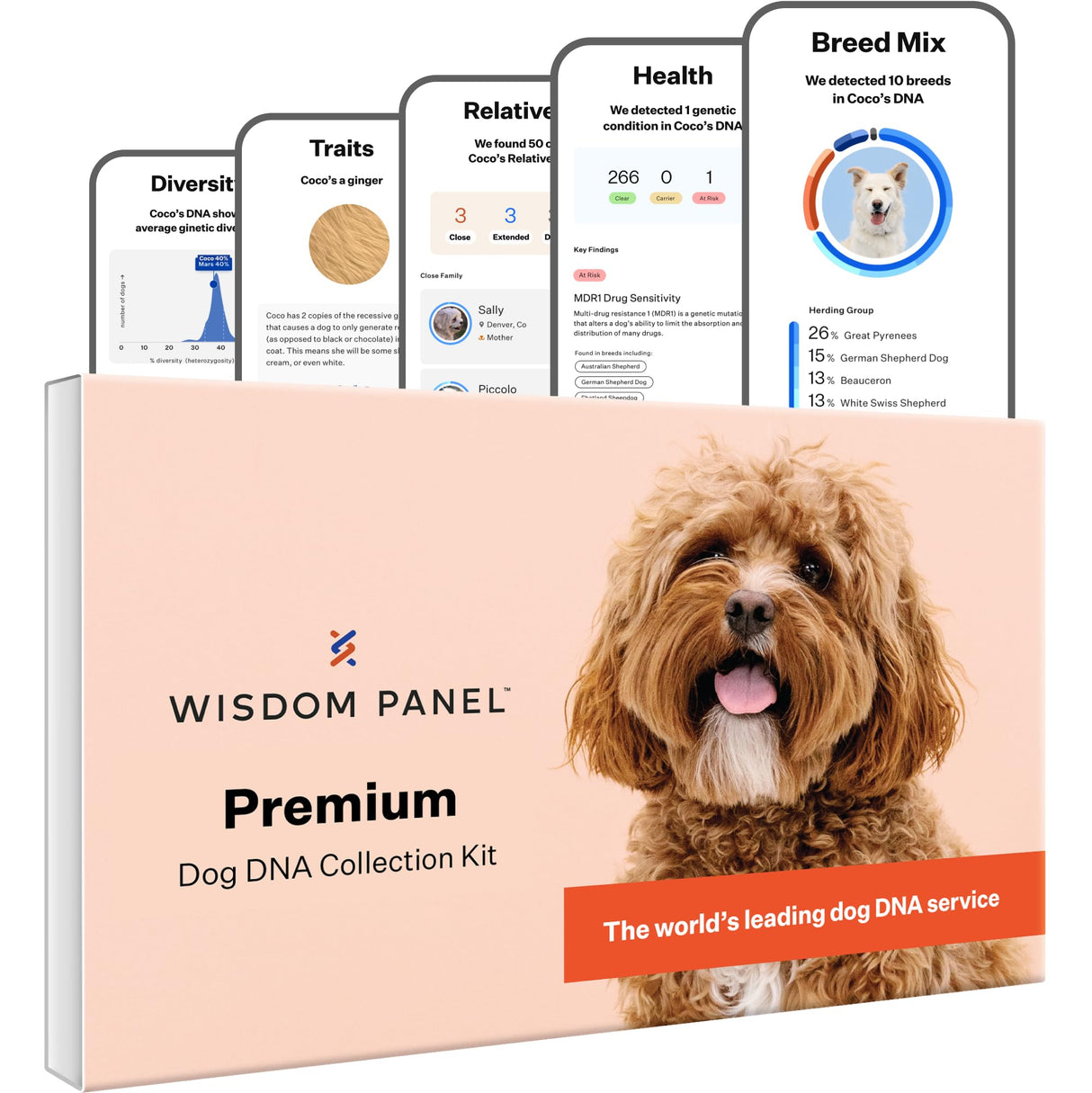Wisdom Panel Premium Dog DNA Kit: Most Comprehensive with 265+ Health Tests, Identify 365+ Dog Breeds, 50+ Traits, Relatives, Ancestry, Genetic Diversity - Pack of 1