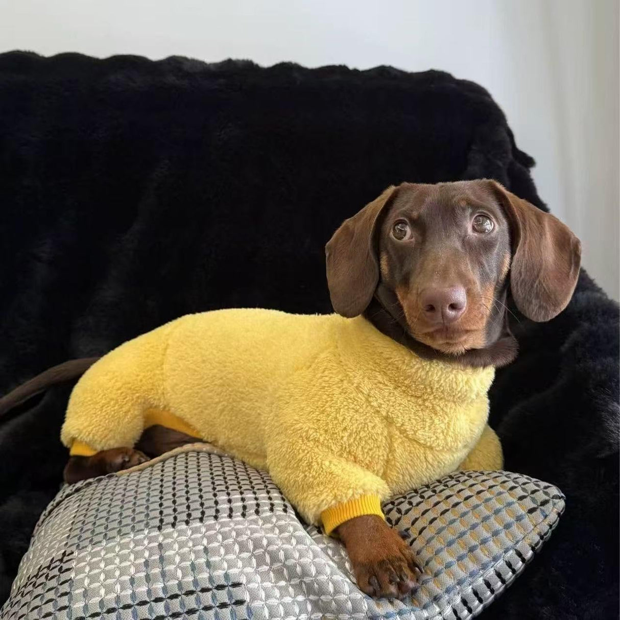 Dachshund Dog Fleece Jumpsuit Turtleneck Sweater, Suitable for Dachshunds, Winter Soft Cozy Dog Pajamas Clothes (Yellow, Medium)