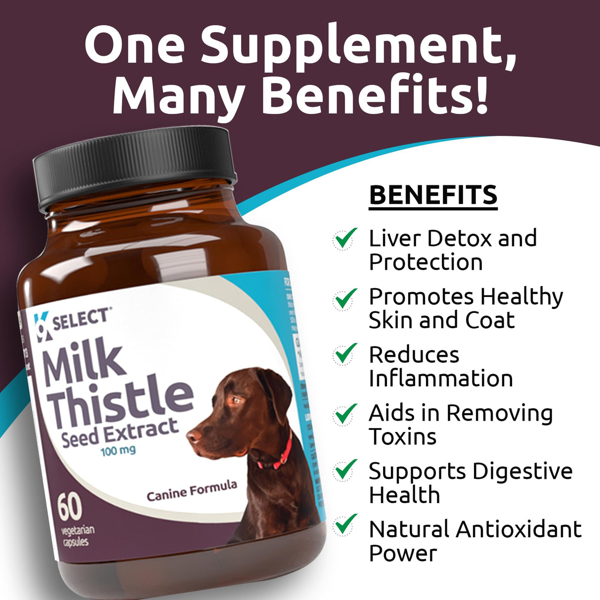 K9 Select Milk Thistle for Dogs, 100mg - 60 Vegetable Capsules - Canine Liver Health Milk Thistle Supplement - Milk Herbal