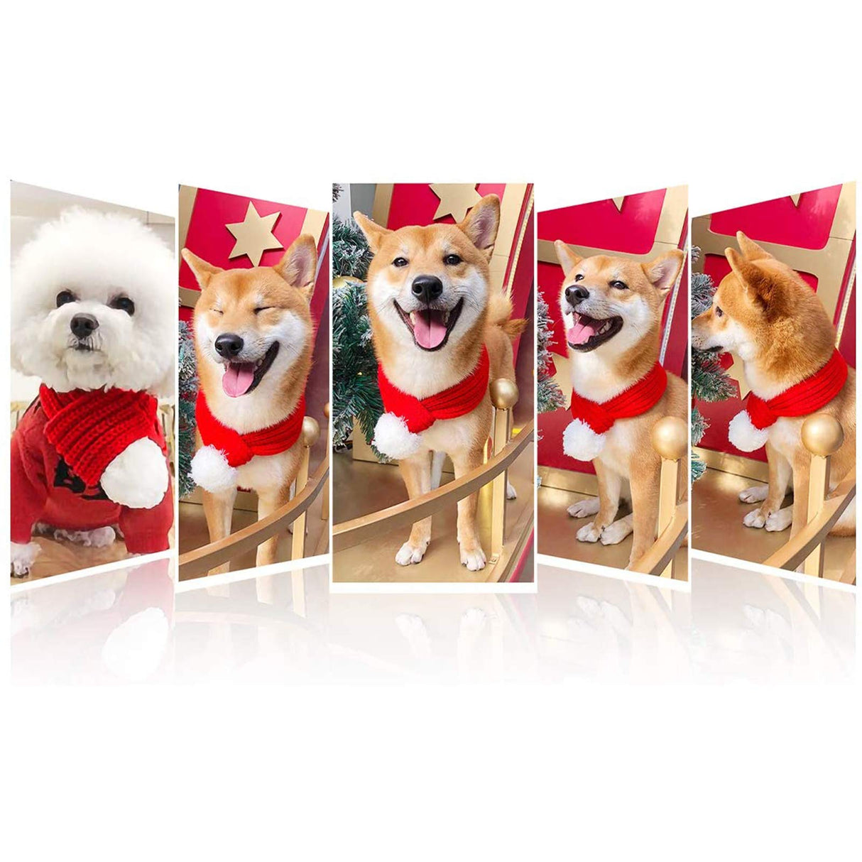 Inscape Data Christmas Dog Santa Hat with Adjustable Scarf, Red Knit Scarf with White Pompom Ball, Dog Winter Neck Warmer, Christmas Party Dressup