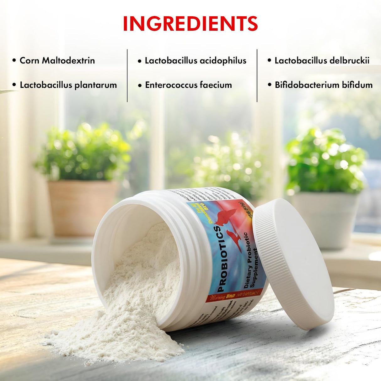 Morning Bird Probiotics for Birds 2 oz – Digestive Health Supplement Supporting Gut Balance, Nutrient Absorption & Immune Support – Easy Mix Powder Supplement for All Bird Species
