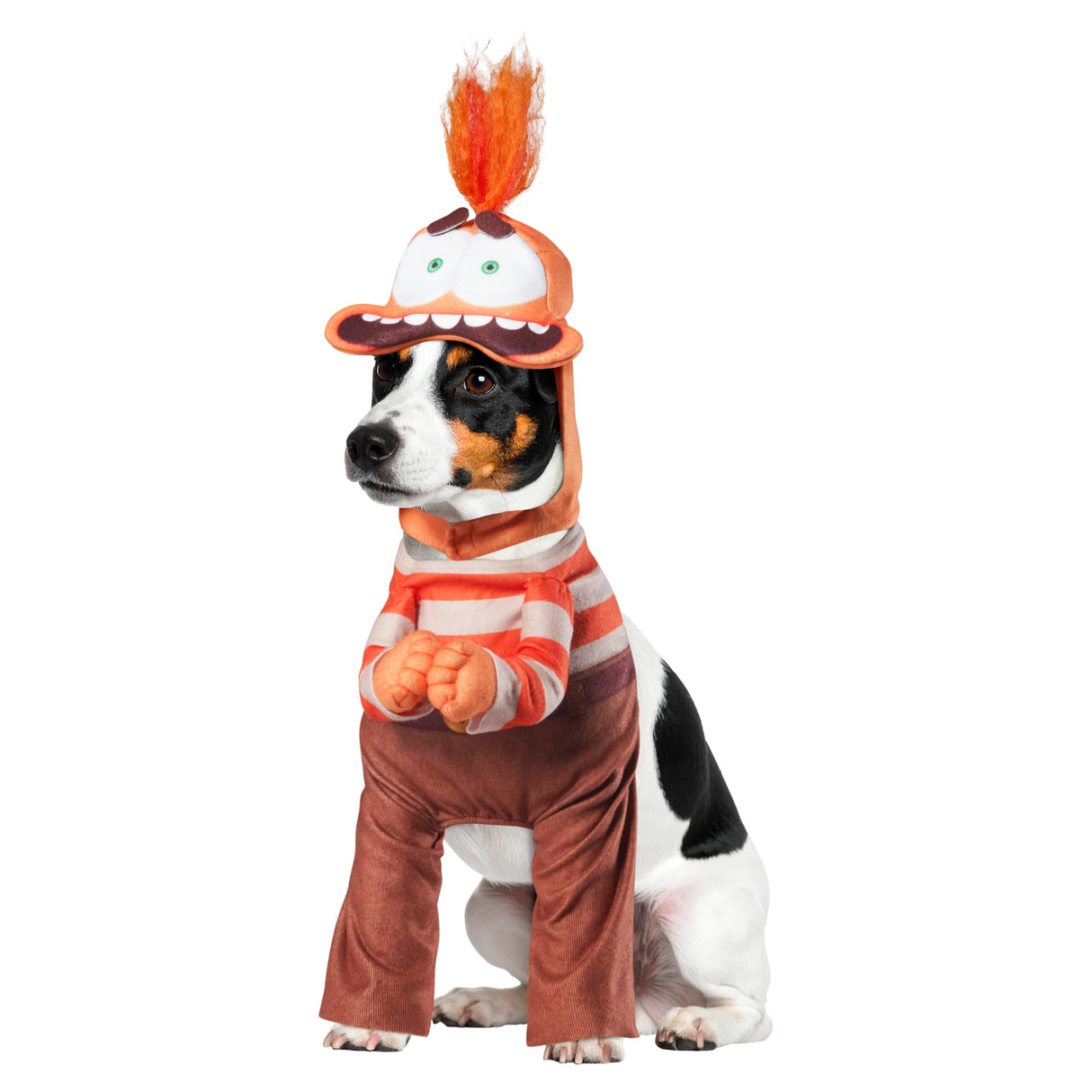 Rubies Disney Inside Out: Anxiety Pet Costume for For Dogs or Cats, Large
