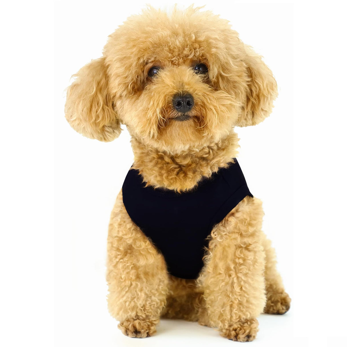 Custom Pet Tanktops Shirts Personalized Photo Logo Name Dog Cat Puppy Tee Shirt Tank Top Vest Apparels Clothes DIY Summer Costume for Small Dog Puppy Cat