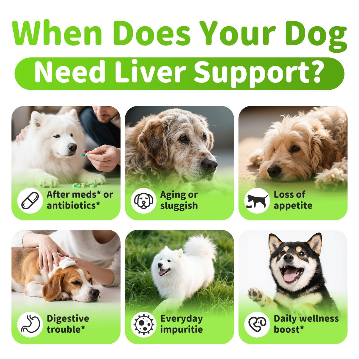 POPPAW Dog Liver Support Chews - with Milk Thistle (Silybum), Same & NAC - Liver Supplement for Metabolic - Detox - Gut & Immune Health - Beef Flavor, 90 Soft Chews