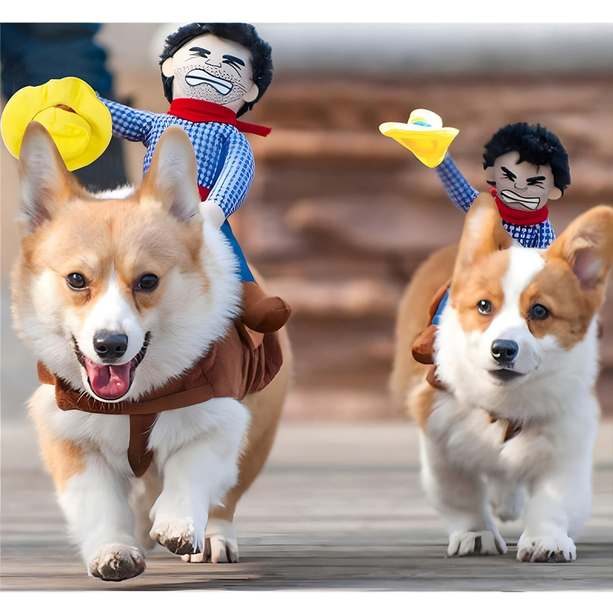 WORDERFUL Cowboy Rider Dog Costume - Halloween Dog Rider Costumes Funny Pet Chucky Clothes with Doll and Hat,Costumes for Small Medium Dogs
