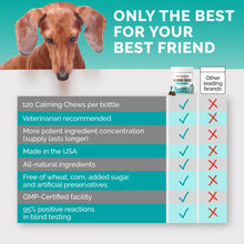 Load image into Gallery viewer, PREMIUM CARE Calming Chews for Dogs, Made in USA - Helps with Dog Anxiety, Separation, Barking, Stress Relief, Thunderstorms and More, 9.3 oz (264g), 120 Count