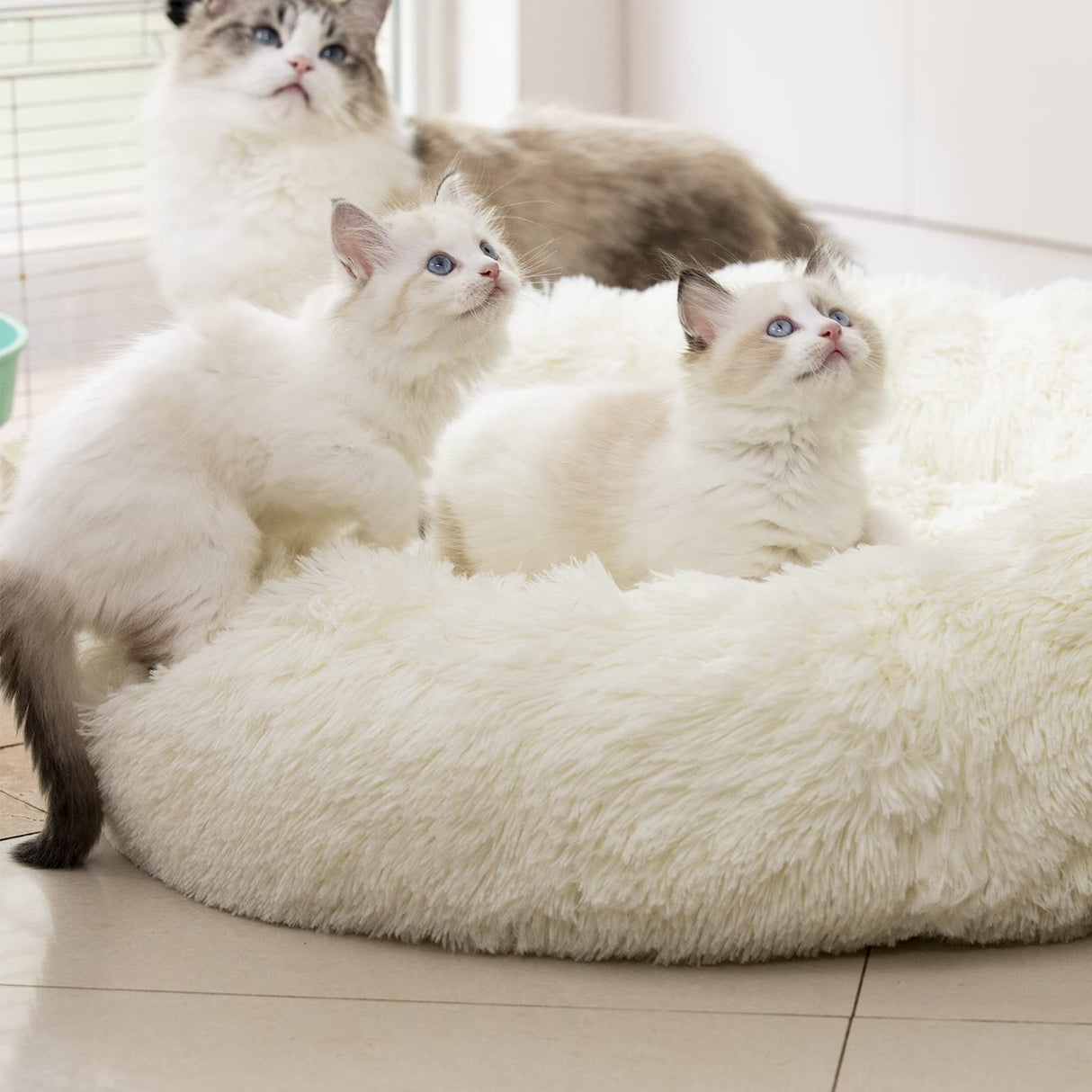 Raimaiso Anti Anxiety Round Fluffy Plush Faux Fur Warm Washable Dog Bed & Cat Bed, Original Bed for Small Medium Large Pets,Used to Relieve Joints and Improve Sleep(20"/24"/27'') (27", White)