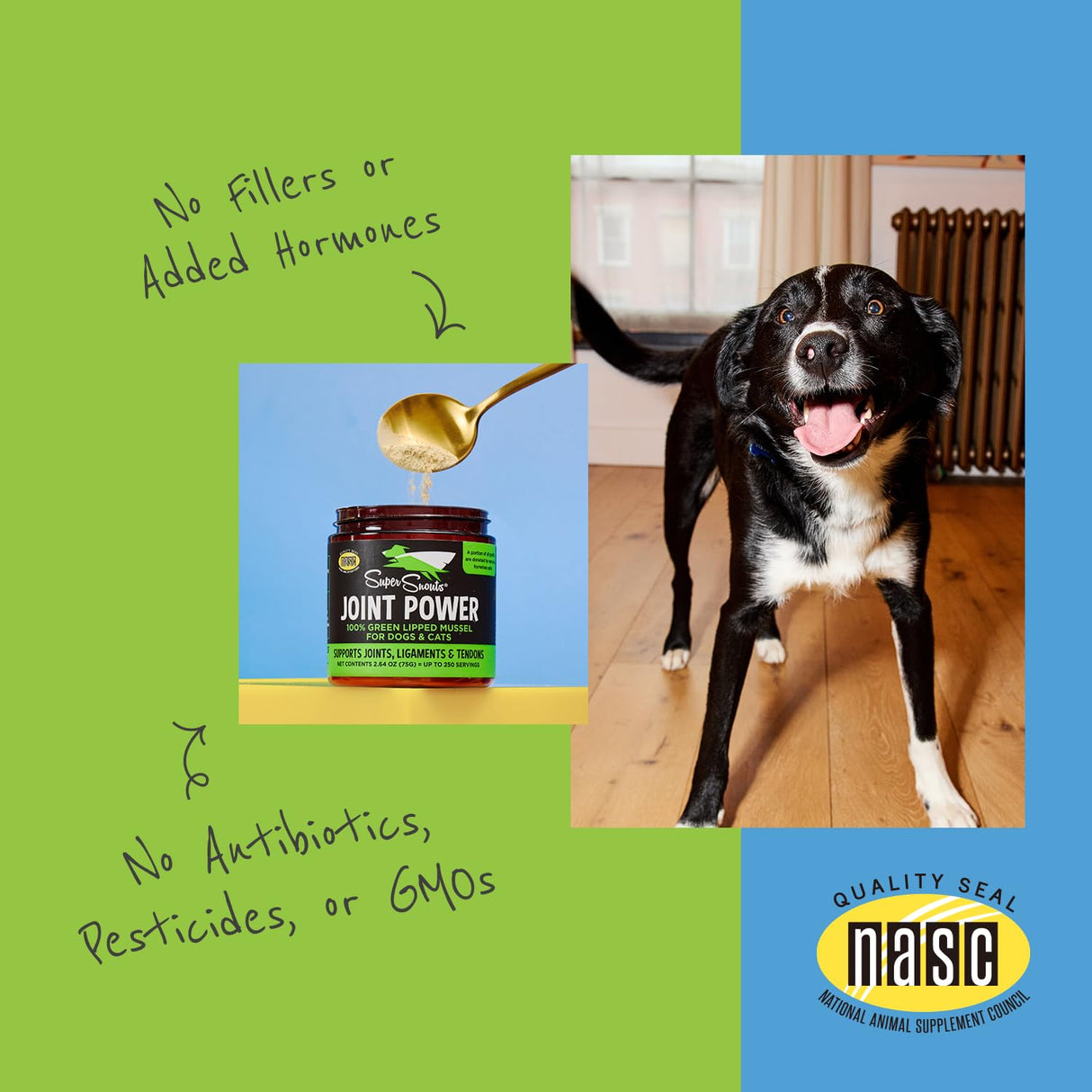 Super Snouts Joint Power 100% Green Lipped Mussels for Dogs & Cats - Dog Joint Supplement Powder Supports Joints, Tendons, Ligaments (2.64 oz)