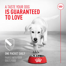 Load image into Gallery viewer, Royal Canin Probiotics for Dogs Digestive and Immune Health Powder Supplement for Dogs of All Ages, 30 Count