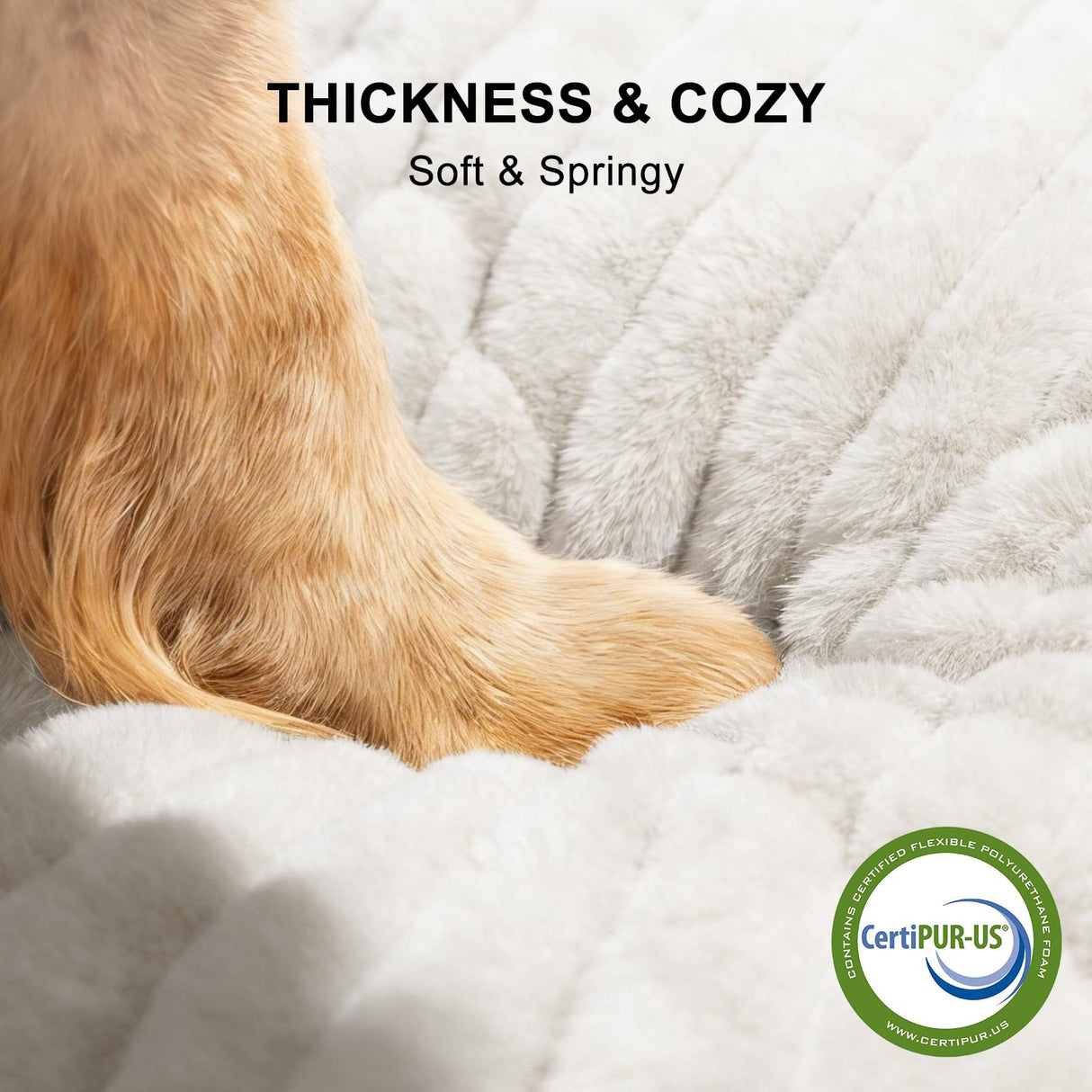 FURTIME Dog Bed Medium Size Dog, Washable Orthopedic Pet Bed with Removable Cover, Rectangle Soft Calming Sleeping Puppy Bed Durable Pet Cuddler with Anti-Slip Bottom, Cream, M Plus (30"x24"x8")
