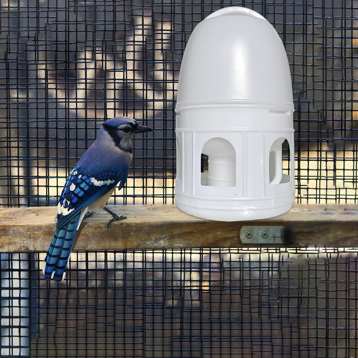 Panchitalk Bird Water Drinker, Pigeon Water Feeding Plastic Drinker Dispenser, 5L Pigeon Pet Water Pot Container, Water Automatic Feeders Dispenser Supplies