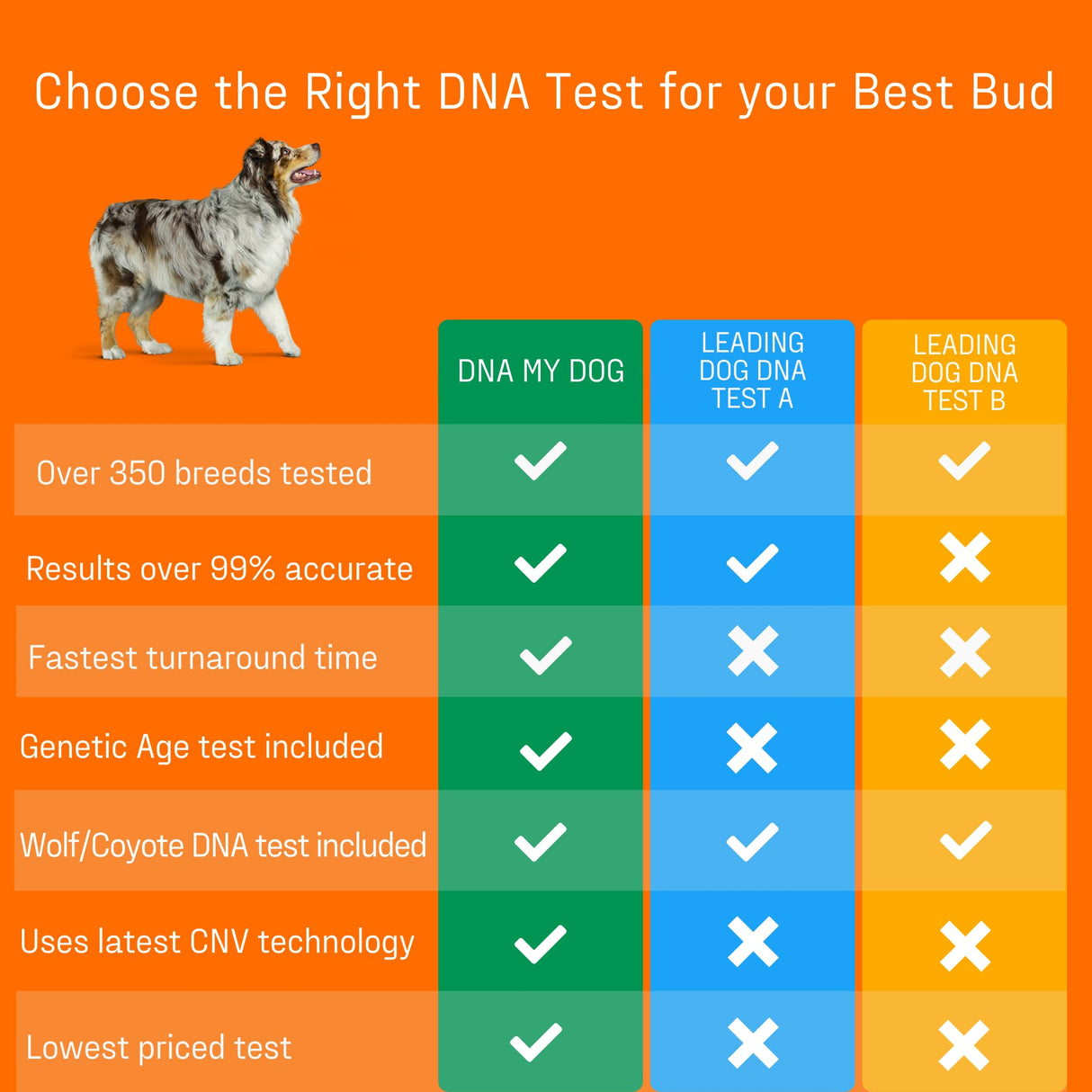 DNA Genetic Age and Breed Test β Trusted & Affordable Breed Identification | 350+ Breeds Identified with 99%+ Accuracy | Plus Genetic Age Test, Wolf DNA