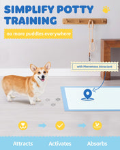 Load image into Gallery viewer, Powools 100-Pack X-Large Puppy Pads - 34'' x 28'' Pee Pads for Dogs Potty Training with Leak-Proof Quick-Dry Design, 6-Layer Wee Wee Pads for Dogs, Blue