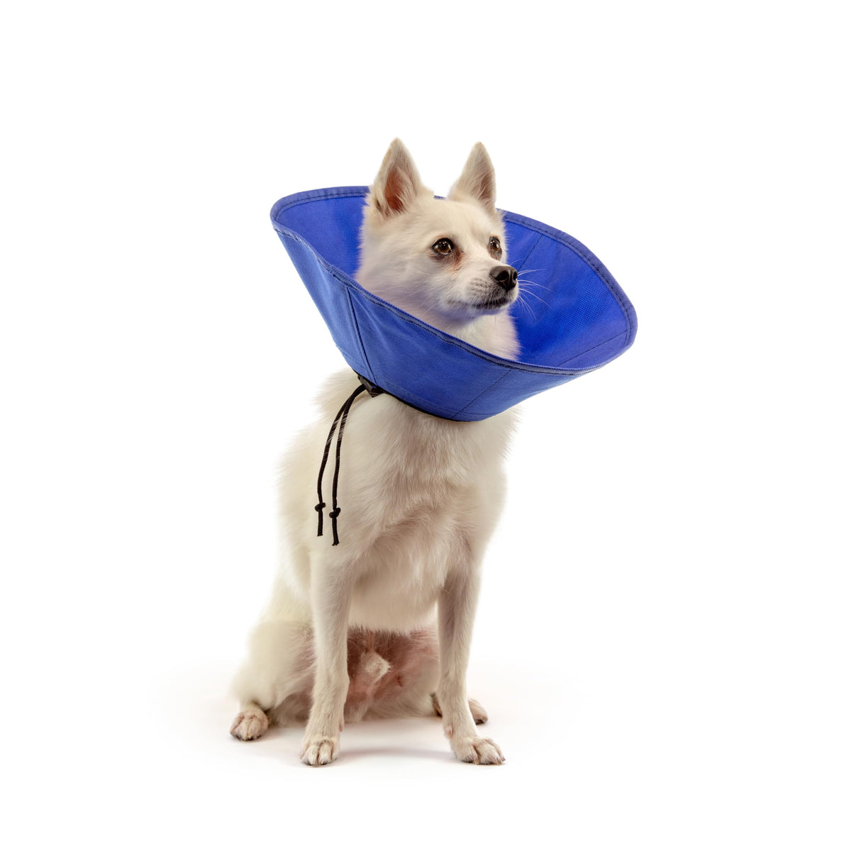 KVP EZ Soft Pet Cloth Recovery Collar, S Size Fits 5.5" to 12.25" Neck/5.5" Depth