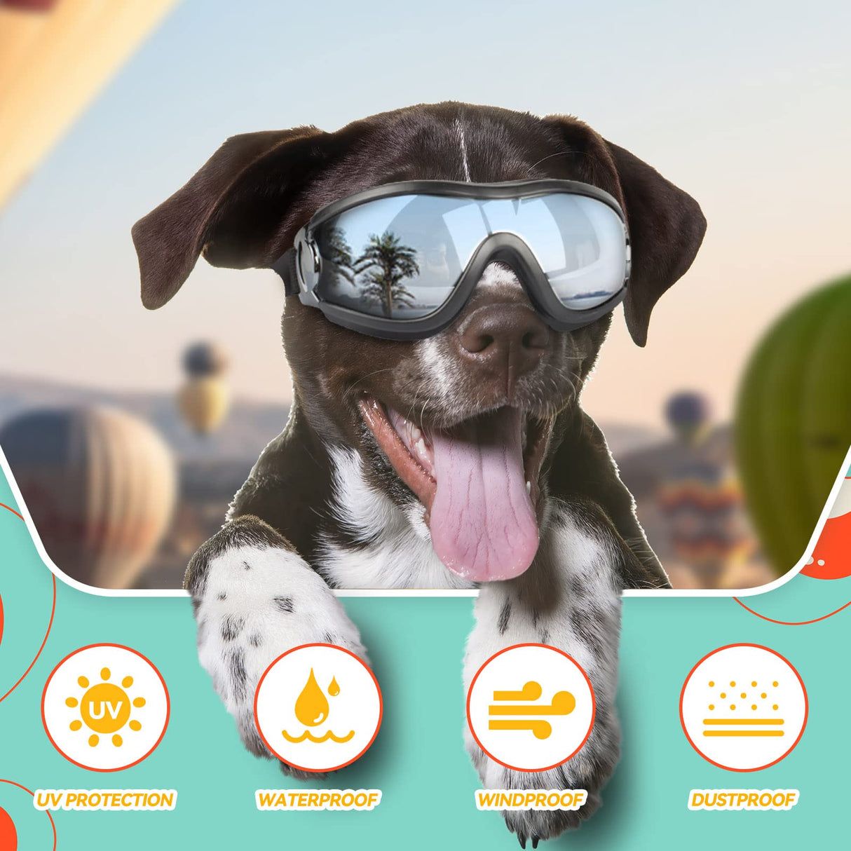 PETLESO Dog Goggles Sunglasses for Large Breeds - 2PCS Black & Clear UV Protection Set, Windproof Eye Wear for Medium to Large Dogs, Ideal for Riding/Driving/Hiking