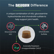 Load image into Gallery viewer, Nutramax Dasuquin Joint Health Supplement for Small to Medium Senior Dogs – for Immune Support, Skin & Coat Health, and Brain Health, 84 Soft Chews