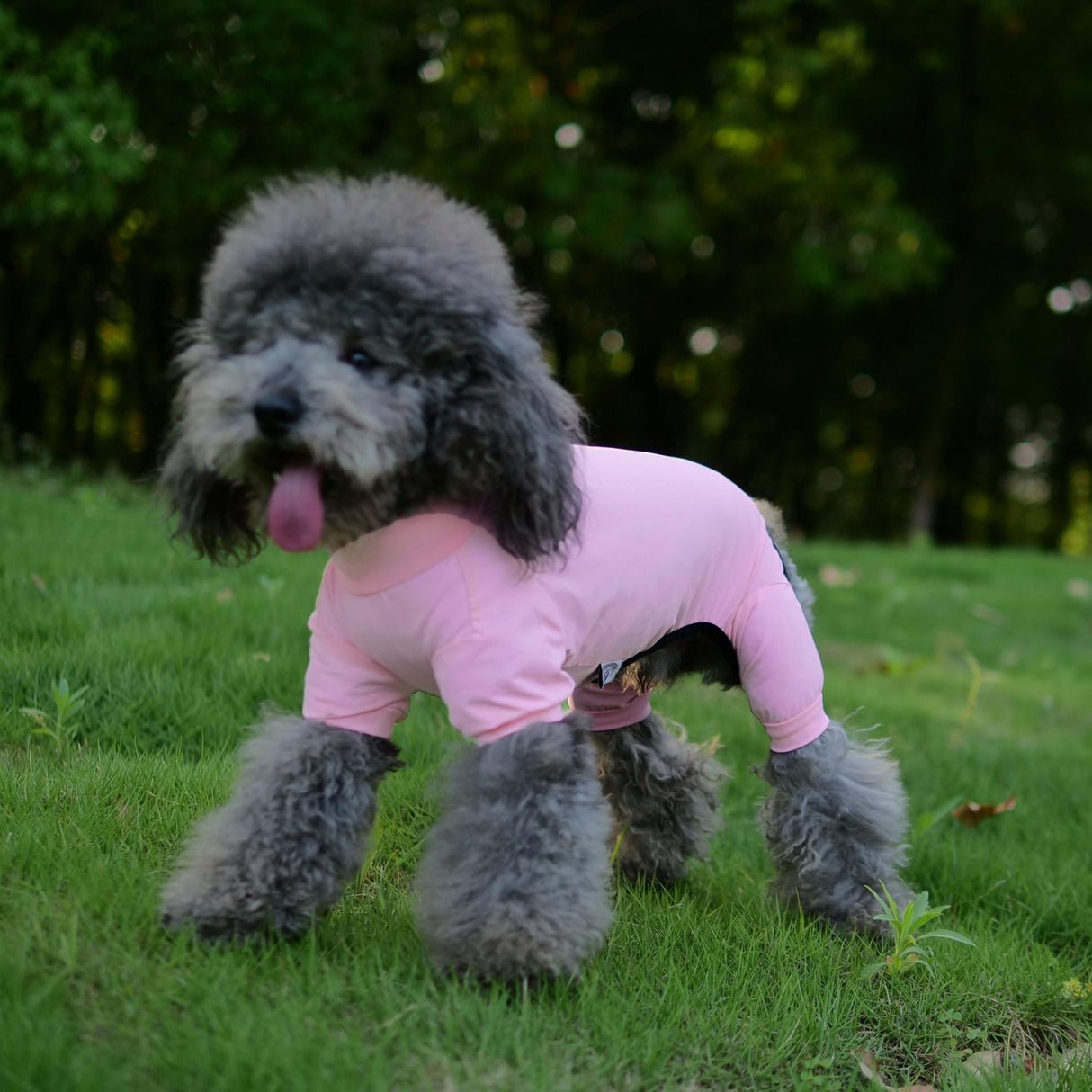 LoveLongLong Dog Jumpsuit with UV Protection and Quick-Dry Fabric for Spring Summer Pet Pajamas Pink XL