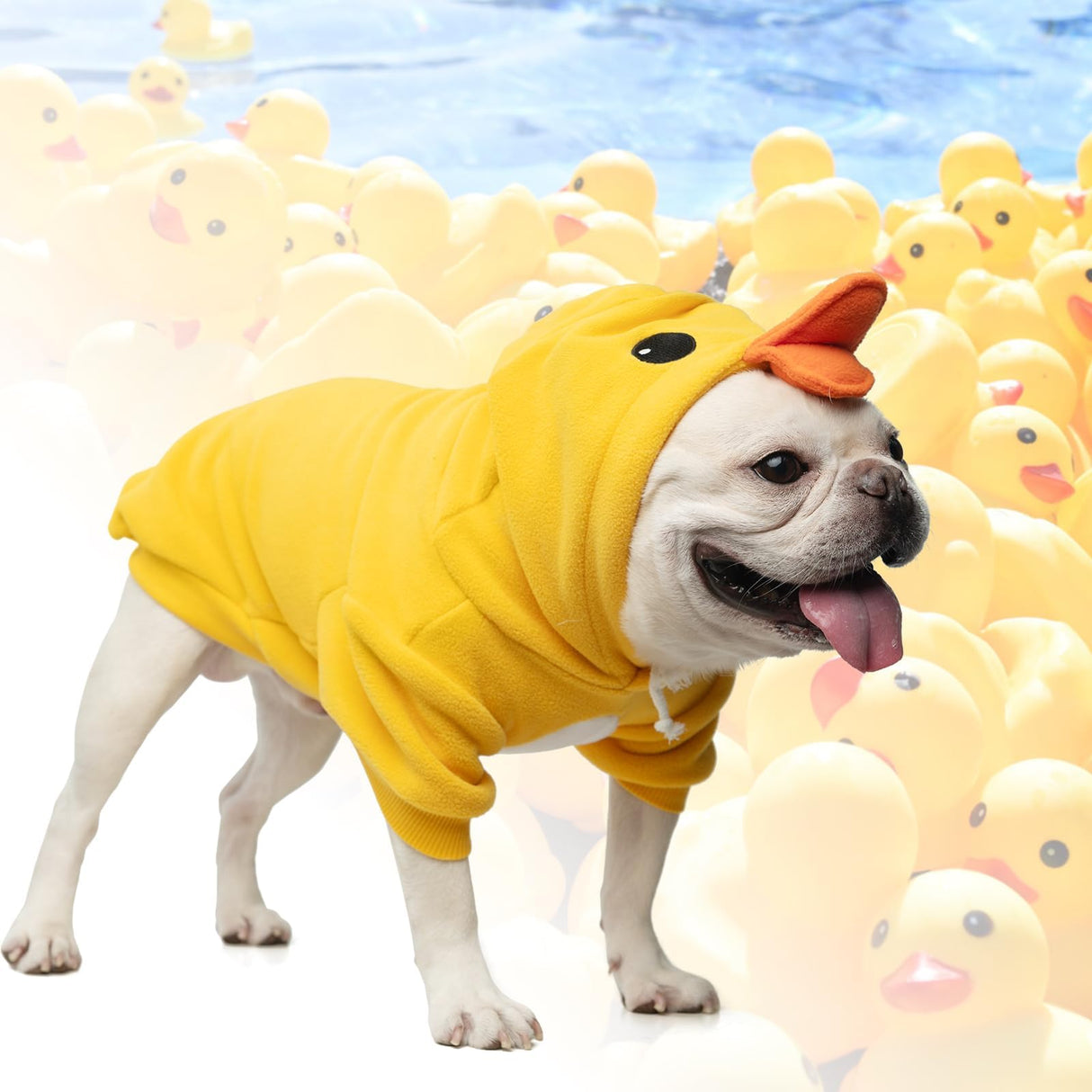 KOOLTAIL Dog Duck Costume Clothes, Funny Dog Outfits Fleece Sweater Hoodie, Pet Cute Halloween Cosplay Cold Weather Coats with Leash Hole for Small Medium Large Dogs Pug Pitbull Corgi Puppy, Yellow SM