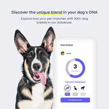 Load image into Gallery viewer, Basepaws Dog DNA Testing Kit - 330+ Breeds, 280+ Health Risks, and 30+ Traits - Comprehensive Mixed Breed Identification, Pet DNA Test kit, Canine Genetic Ancestry and Heritage