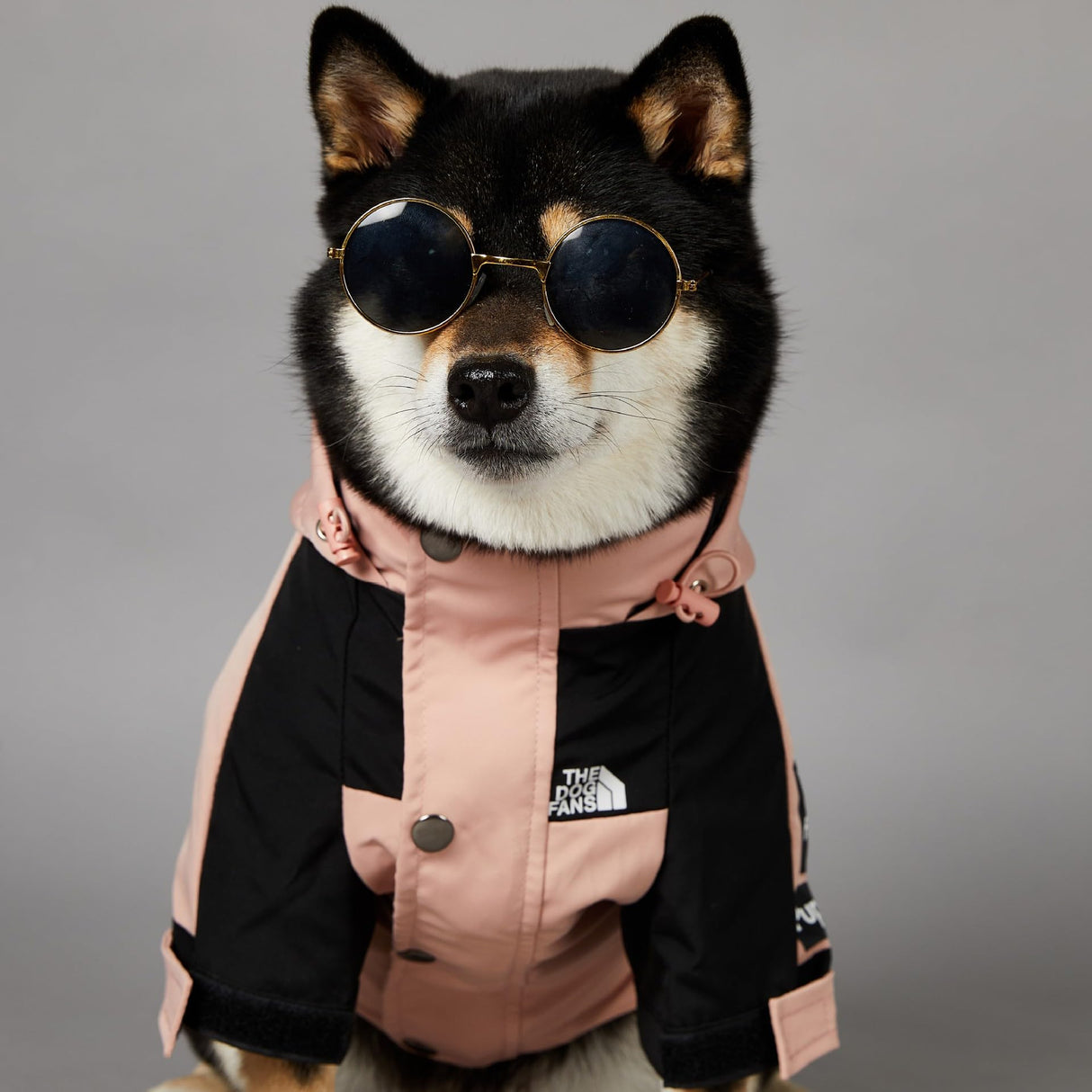 BETTYLAI Dog Raincoat with Adjustable Hood and Tail Drawstring, Button and Zipper Clothes, Durable Outdoor Waterproof Dog Rain Jacket for Small, Medium and Large Dogs (Pink, X-Large)