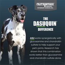 Load image into Gallery viewer, Nutramax Dasuquin for Large Dogs, Joint Health Supplement, Contains Glucosamine for Dogs, Plus Chondroitin, ASU and More, Supports Healthy Joints, Chewable Tablets, 84 Count