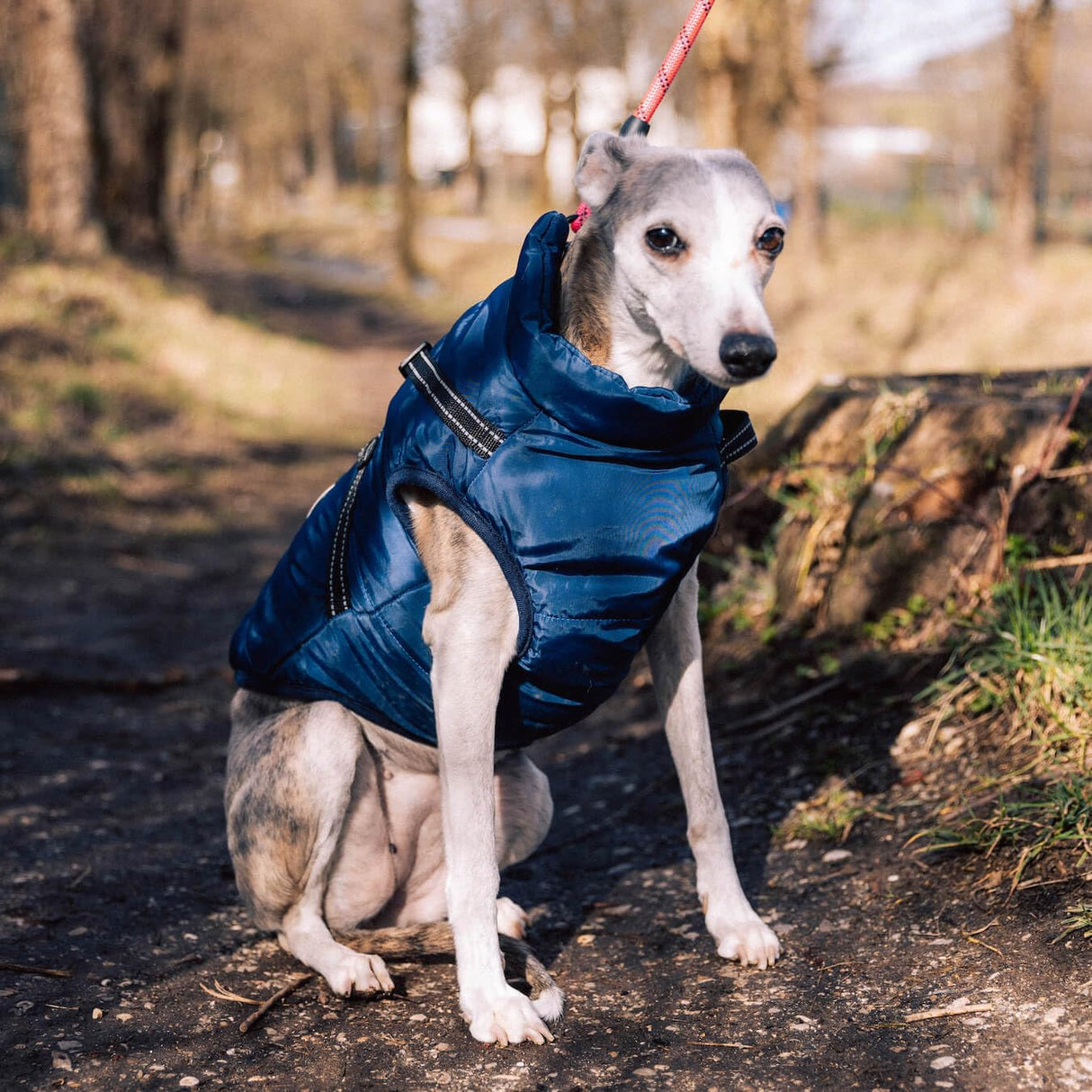 Reflective Dog Jacket Water Resistant with Harness Built in and Warm Fleece Inner Lining, Windproof Dog Coat for Cold Weather Jackets for Small Large Medium Dogs - Red M