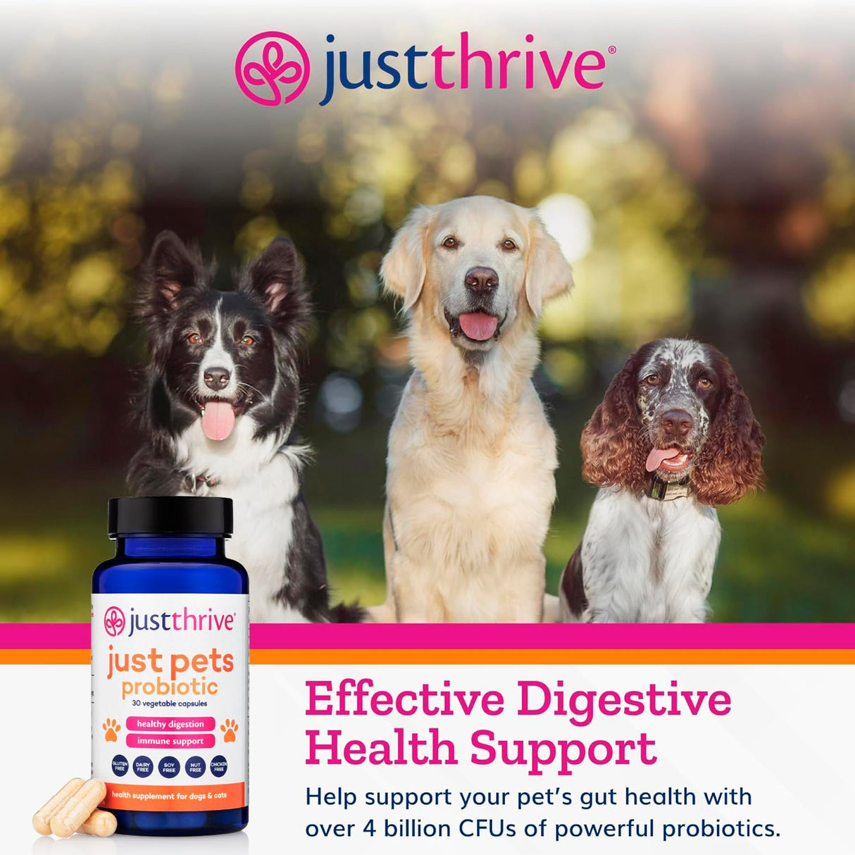 Just Thrive Just Pets Probiotic - Daily Digestive Probiotics for Dogs and Cats - 4 Billion CFUs Pet Probiotic, 30 Capsules