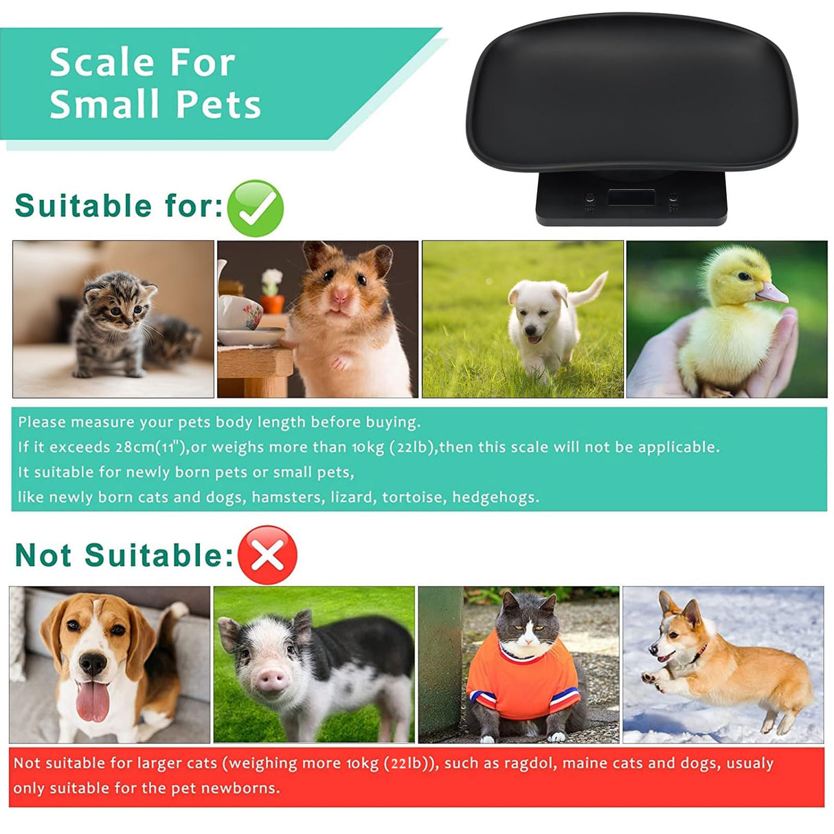 Digital Small Animals Scales for Weighing with Tape Measure, Puppy Whelping Scale Weigh Your Kitten, Rabbit with High Precision (Black Pet Scale&Tape)