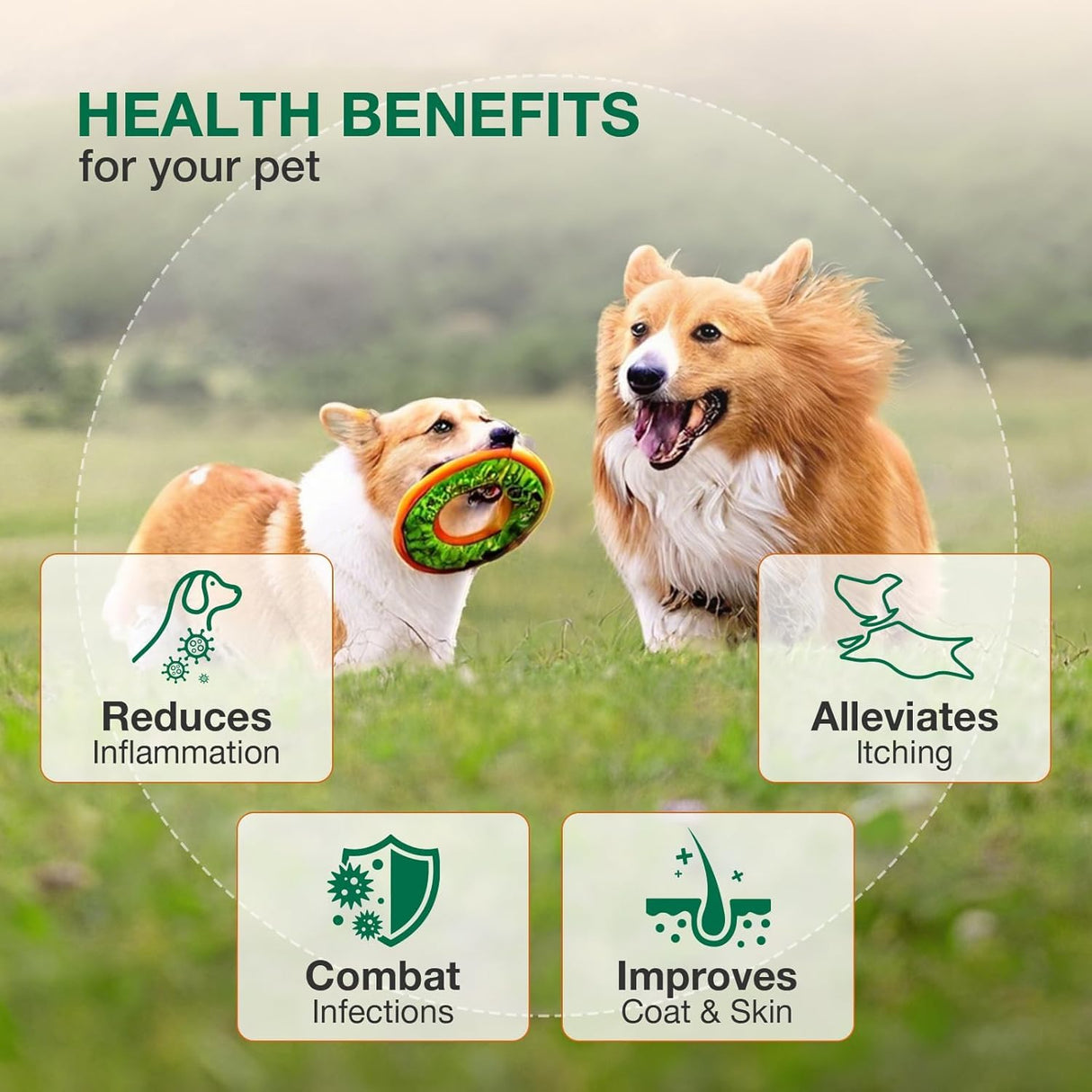Yeast Infection Treatment for Dogs & Cats - Dog Ear & Skin Itch Relief, Allergy Symptoms Relief, Reduces Inflammation & Irritation - Supports Immune Health with Multivitamins Probiotics, 2 fl oz