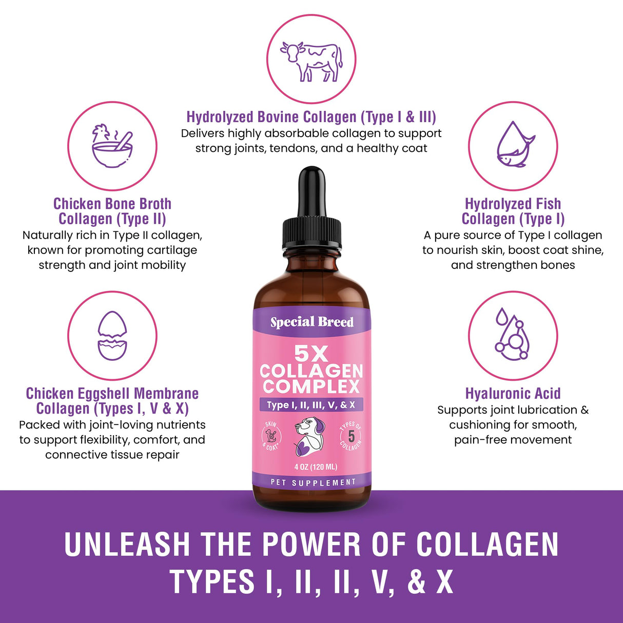 Premium Collagen for Dogs - Liquid Support for Joints, Skin, Coat, Bone, Immune System & HIPS - Collagen Supplement - Made in USA - 4oz