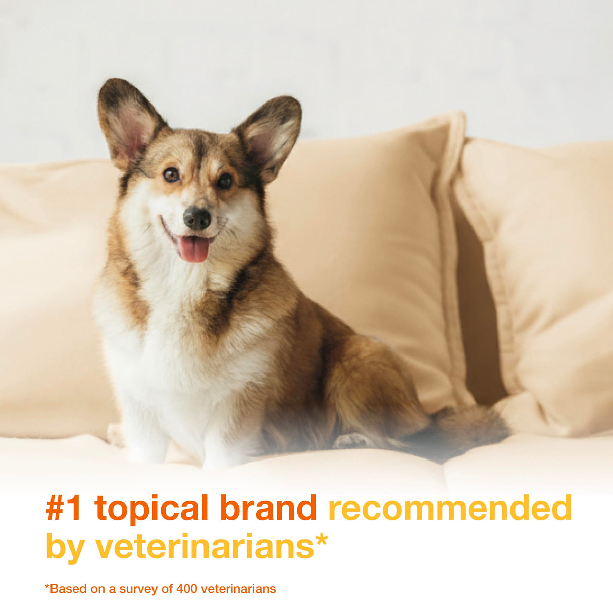 Douxo S3 Pyo Mousse, Contains 3% Chlorhexidine & 0.5% Ophytrium, Antiseptic & Hydrating, for Bacterial or Yeast Skin Infections, for Dogs, 5 fl. oz. (150mL)
