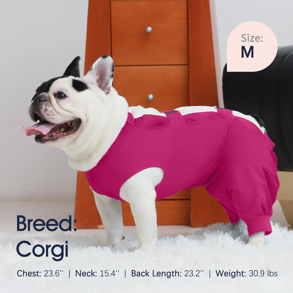 IECOii Dog Onesie for Surgery,Dog Surgery Suit Female Spay Recovery Suit for Medium Size Dog,Dog Recovery Suit Male Pet Abdominal Anti Licking Shirt,Dog Bodysuit Alternative to Cone E-Collar,M-Rosered