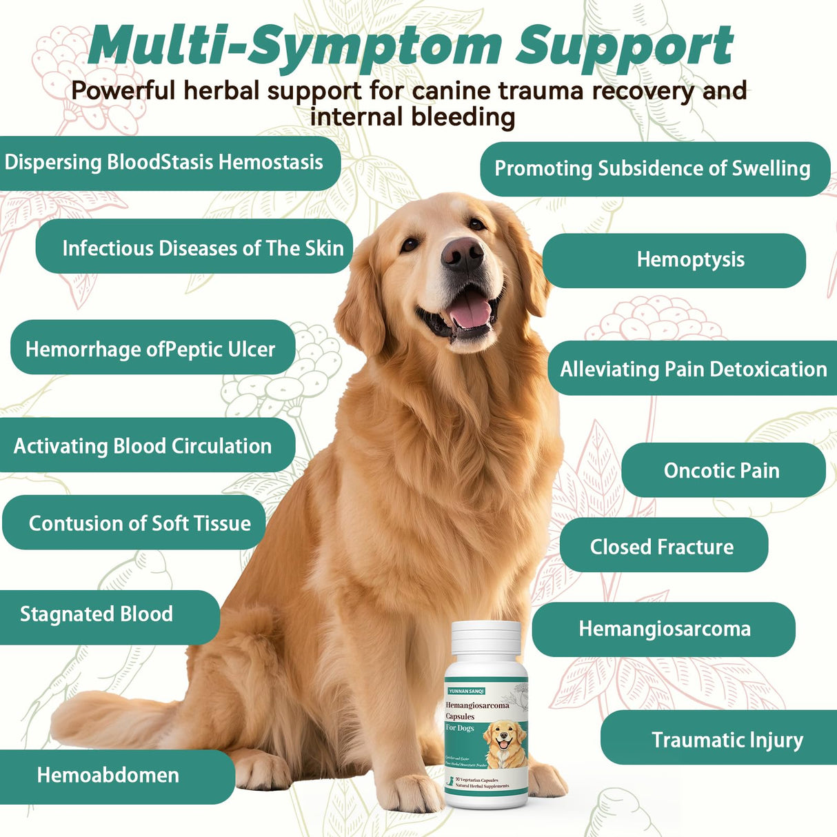 Yunnan Sanqi Blood Support Capsules for Dogs - 90 Capsules for Hemangiosarcoma, Hemoabdomen, Pericardial Effusion, Cancer Bleeding, Severe Bruising, Ulcer Bleeding & Bloody Stools