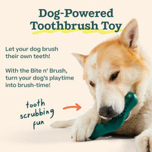 Load image into Gallery viewer, WOOF - Bite n' Brush Refills for The Dog Toothbrush Toy - Scrub Plaque and Tartar from Your Dog's Teeth and Mouth - Dog Dental Chew Toy Treats - Approximately 16 Refills