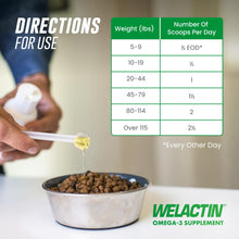 Load image into Gallery viewer, Nutramax Welactin Omega 3 Fish Oil for Dogs, Skin and Coat Health Supplement, Plus Joint, Immune, Kidney, and Brain Support, Premium Omega 3 Fatty Acids, For Dogs, 16 Ounce Liquid