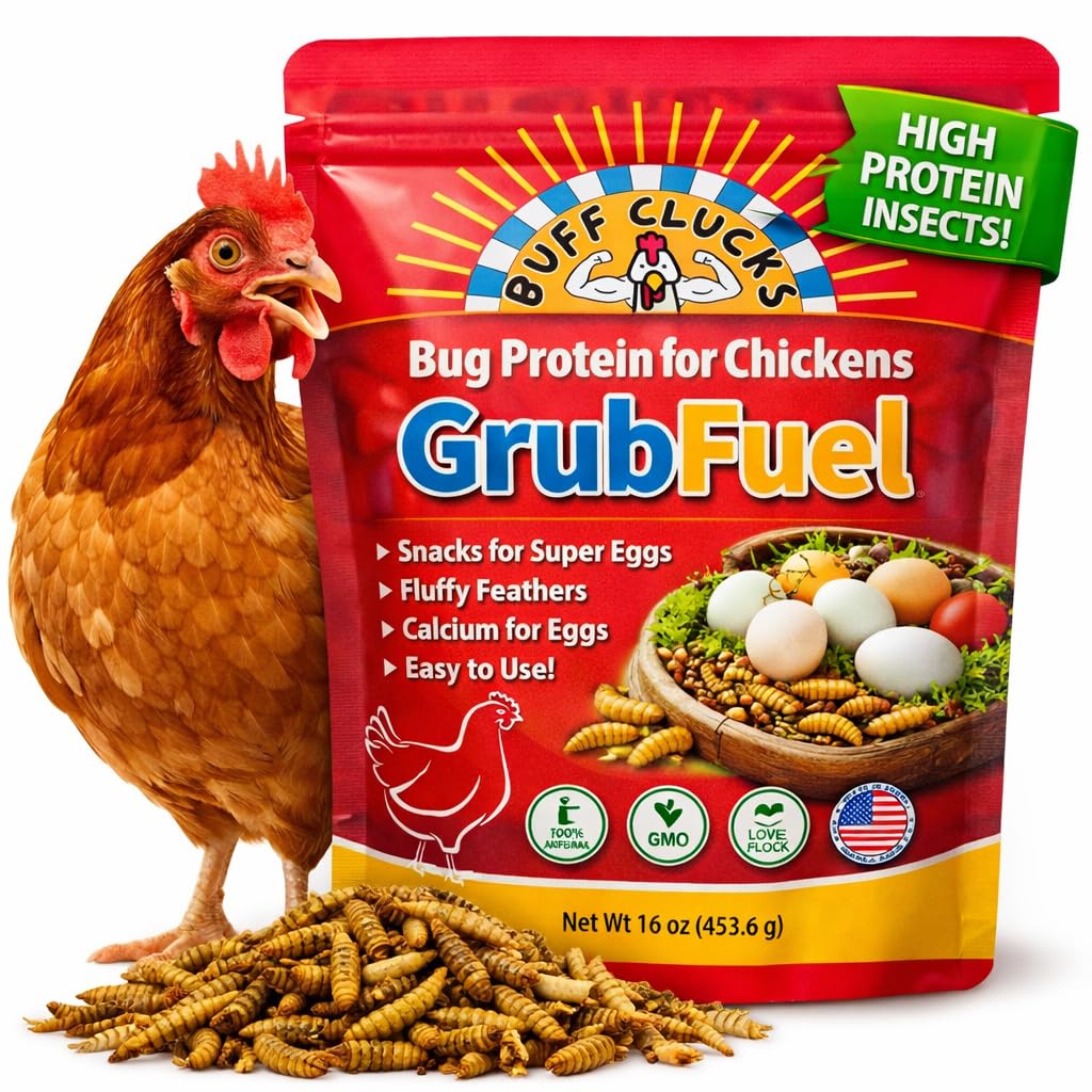 Buff Clucks Grub Fuel Black Soldier Fly Larvae for Chickens - Nutrient-Packed BSFL, Sustainably Sourced Snack for Poultry, Rich in Protein, Calcium, Fiber, Essential Fatty Acids, USA Grown (1LB)