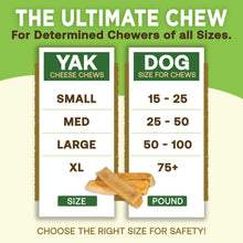 Load image into Gallery viewer, EcoKind Premium Gold Yak Cheese Himalayan Dog Chews, Dog Treats Large Breed, All Natural, High Protein, for Aggressive Chewers, Large - 4 Chews (1 lb)