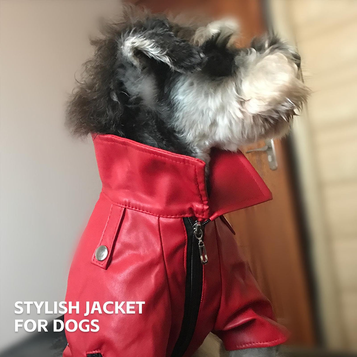 UOSIA Cold Weather Dog Coats Cool Dog Motorcycle Leather Jacket Windproof Waterproof Warm Pet Winter Costume with Zipper(Red,B-S)