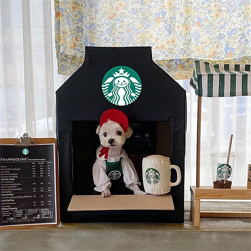Halloween pet Clothing