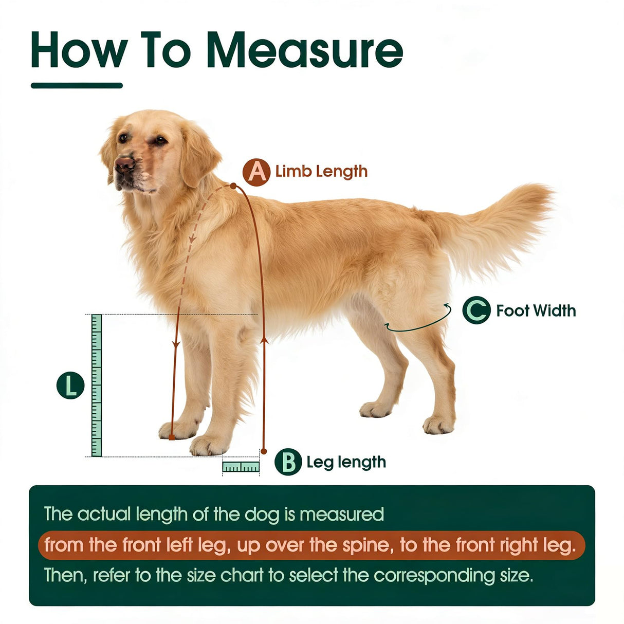 Dog Suspender Boots, Anti-Slip & Fall Waterproof Dog Shoes Leggings, Dog Paw Protector for Small Medium Dogs, Adjustable Dog Boots Pet Shoes for Outdoor Walking Orange,S
