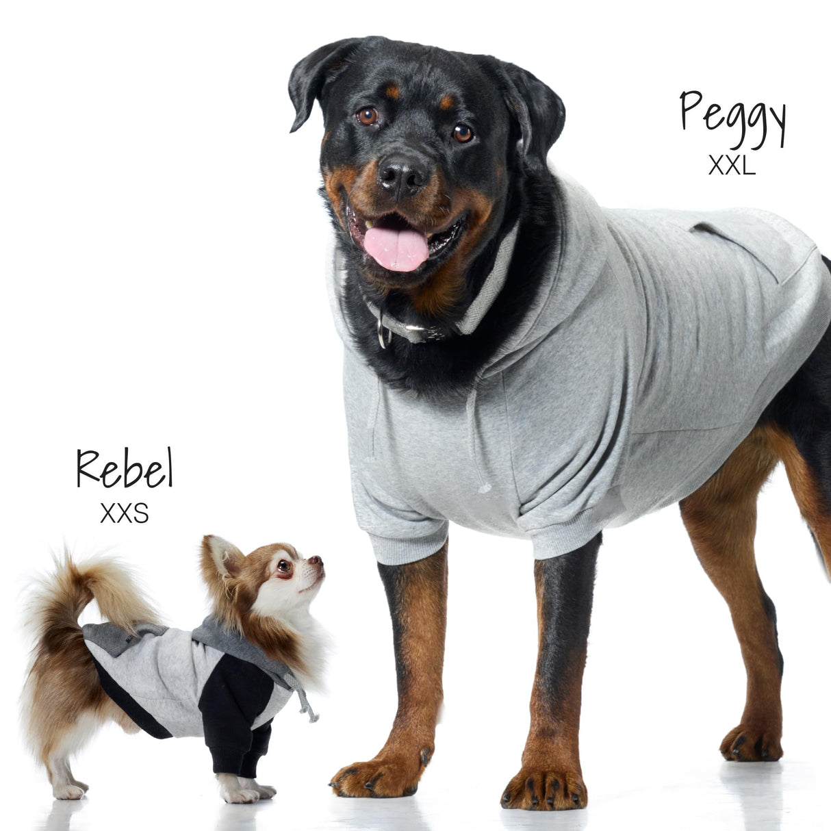 Pet Passion Rocky II - The Extra Comfy Hoodie, Organic Cotton and Recycled Poly Dog Hoodie Pet Coat Sweater for Small, Medium, Large Dogs, Gray Chesterfield Plaid, Large