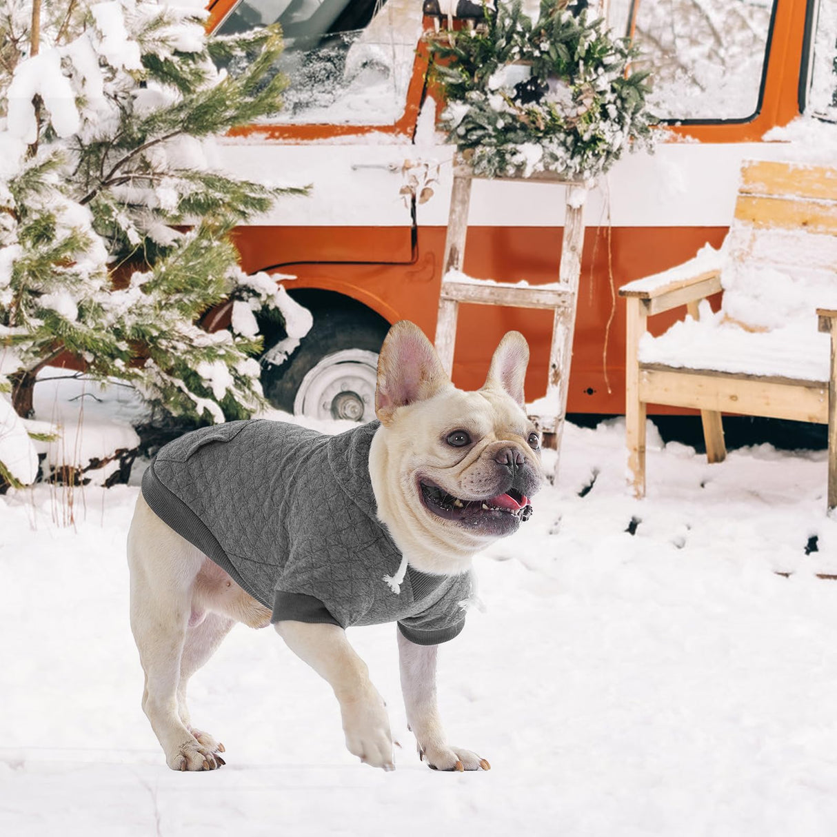 KOOLTAIL Dog Hoodie for Small Medium Large Dogs, Ultra-Warm & Soft Winter Fall Fleece Dog Hooded Sweatshirt Clothes Sweater, Lightweight Pullover Coat for Boy Girl Bulldog Pitbull Puppy Cats,Gray M-L