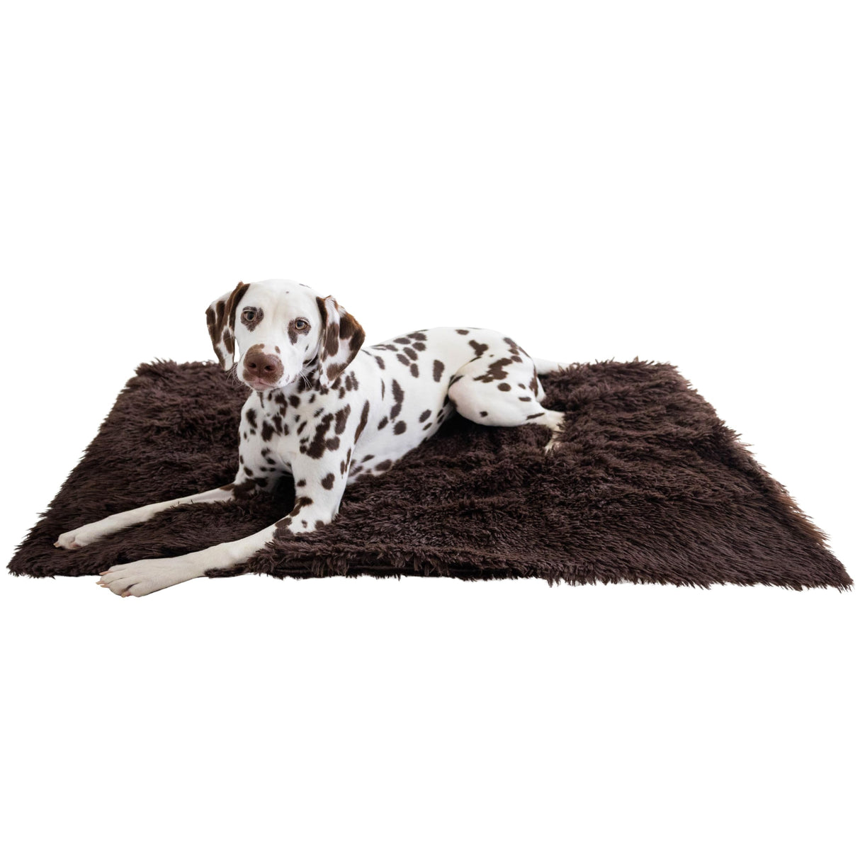 Best Friends by Sheri Calming Shag Dog Blanket – Ultra Soft Faux Fur Pet Throw, Anxiety-Relief, Lightweight Warm Bed Cover for Dogs and Cats, Machine Washable, Dark Brown, 30" x 40"