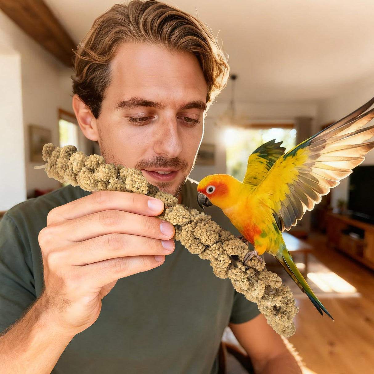 ERKOON 2.5LB Spray Millet Treat, All Natural Sun-Dried Healthy Treat Parrot Food Bird Snack for Parakeets, Lovebirds, Cockatiels, Finches, Budgies, Canaries Hamster, Bird Food Bulk