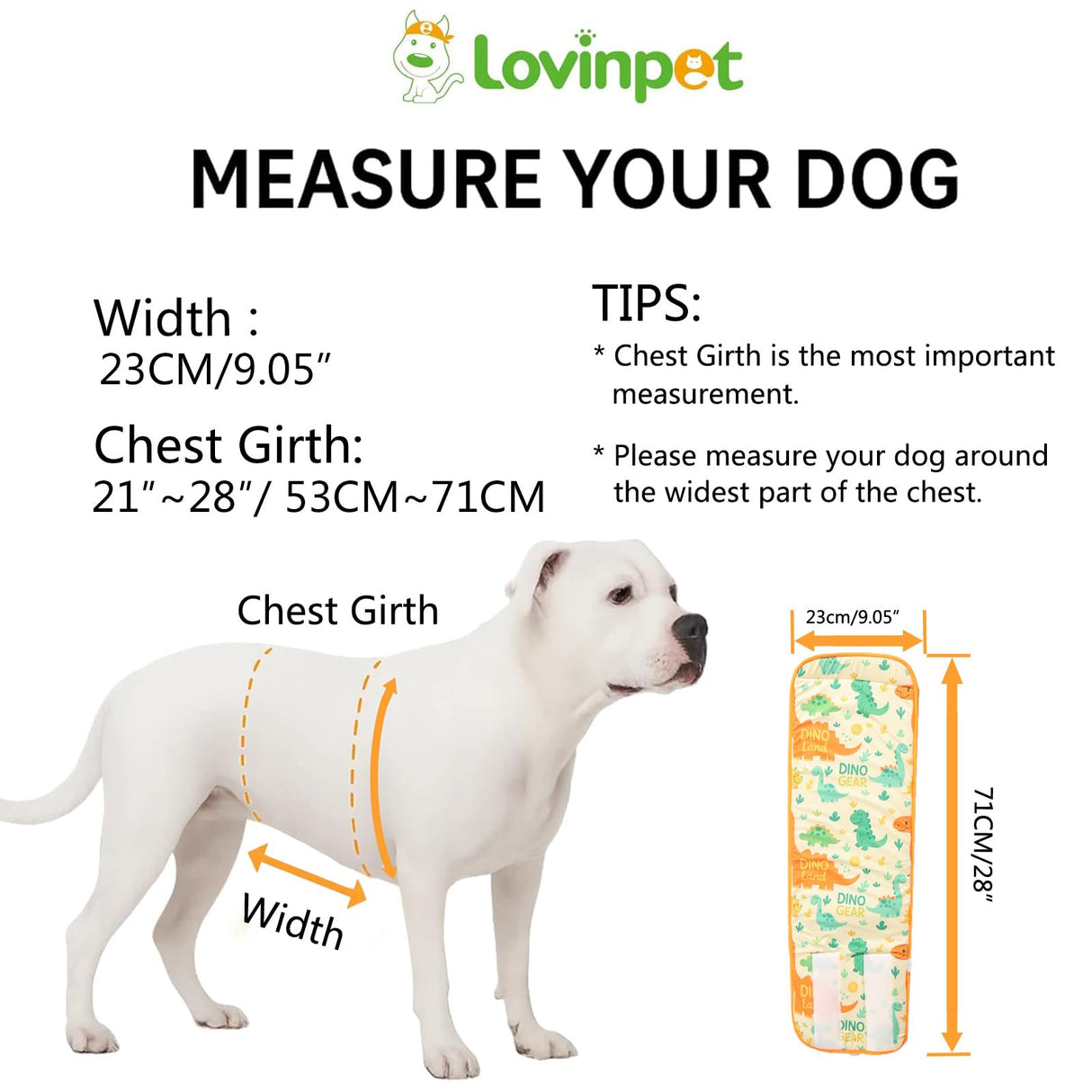 LovinPet 3-Layer Dog Belly Warmer Calming Wrap, Adjustable Abdominal Protector for Medium and Large Dogs, Anti-Chafe Moisture Barrier, Memory-Foam Core + Mesh Lining, Dinosaur Print,White