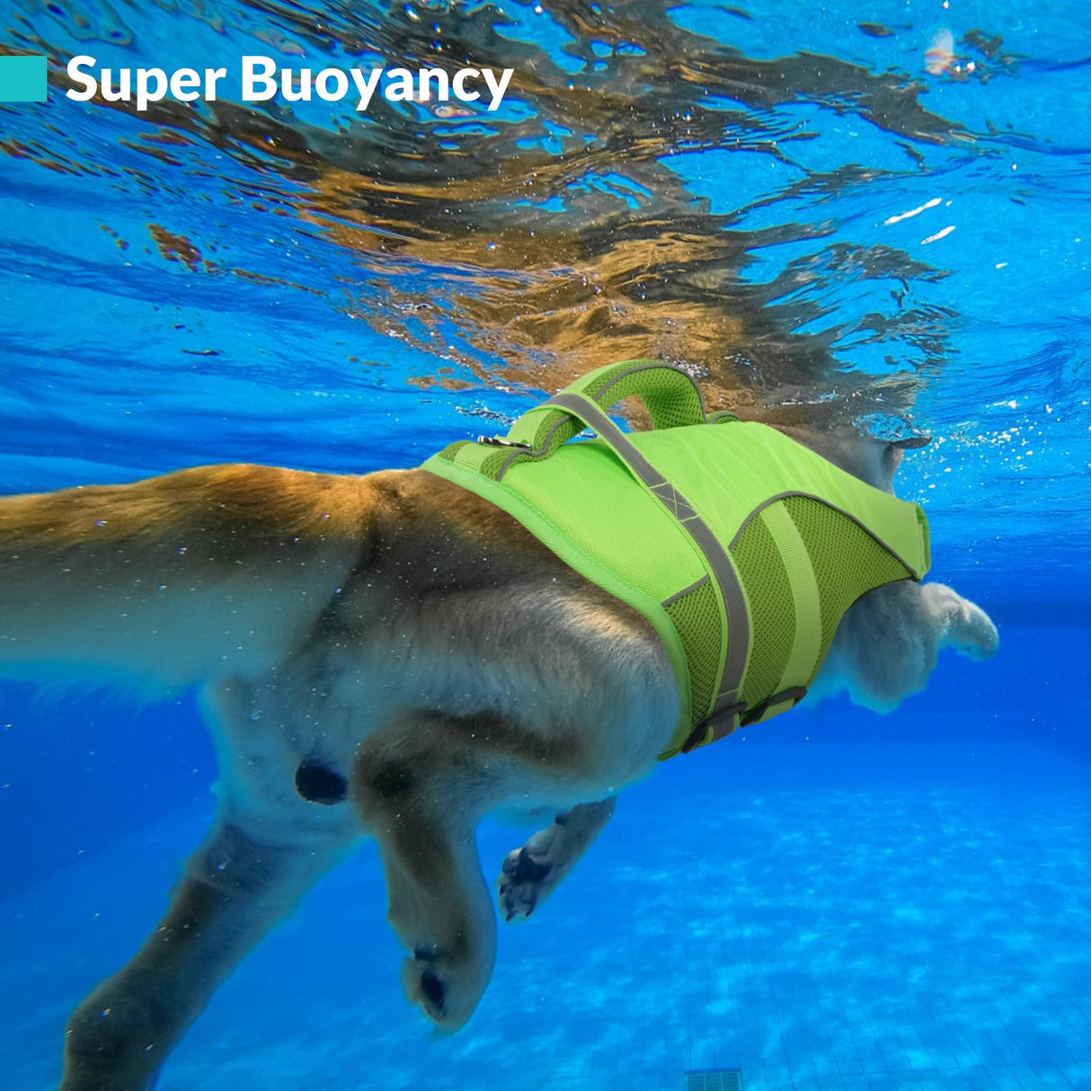Queenmore Dog Life Jacket, Adjustable Ripstop Dog Vest for Swimming, Boating with Rescue Handle, Superior Buoyancy - Green, XL