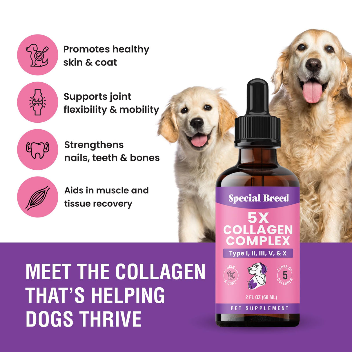 Premium Collagen for Dogs - Liquid Support for Joints, Skin, Coat, Bone, Immune System & HIPS - Collagen Supplement - Made in USA - 2oz